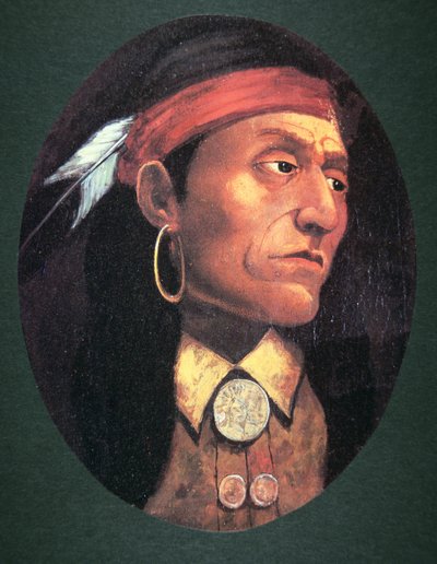 पोंटिएक (1720-69) 1763 (कैनवास पर तेल) द्वारा जॉन मिक्स स्टेनली