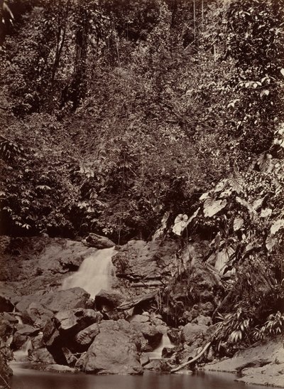 उष्णकटिबंधीय दृश्य, कैस्केड, लिमोन नदी, 1871। द्वारा जॉन मोरानी