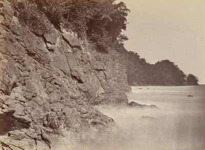 ट्रॉपिकल सीनरी, क्लिफ - लिमोन बे, 1871। द्वारा जॉन मोरानी