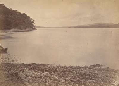 ट्रॉपिकल सीनरी, डेरेन हार्बर - लुकिंग साउथ, 1871। द्वारा जॉन मोरानी