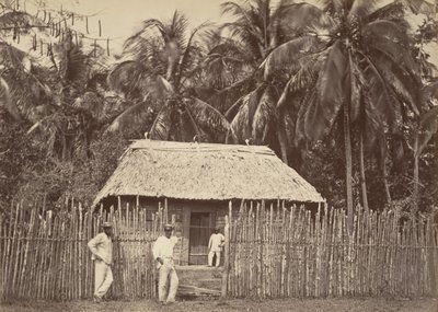 ट्रॉपिकल सीनरी, नेटिव हट, टर्बो, 1871। द्वारा जॉन मोरानी