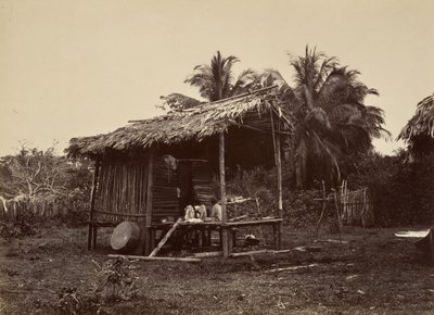 ट्रॉपिकल सीनरी, नेटिव हट, टर्बो, 1871। द्वारा जॉन मोरानी