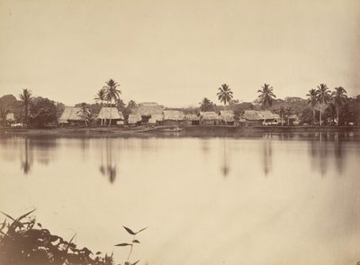 ट्रॉपिकल सीनरी, सांता मारिया डेल रियल, डेरेन, 1871। द्वारा जॉन मोरानी