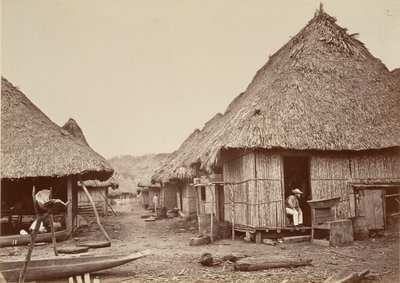 ट्रॉपिकल सीनरी, स्ट्रीट, चिपिगाना, 1871। द्वारा जॉन मोरानी