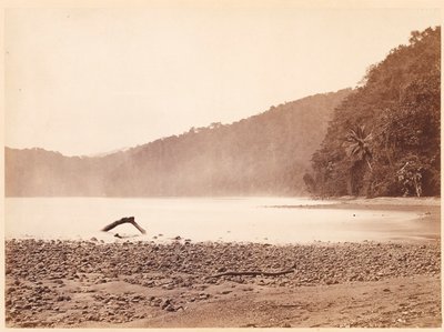  द्वारा जॉन मोरानी
