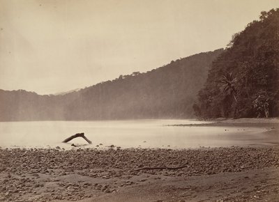 उष्णकटिबंधीय दृश्य, प्रस्तावित नहर का टर्मिनस, लिमोन बे, 1871। द्वारा जॉन मोरानी
