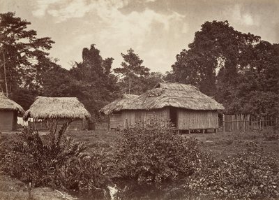 ट्रॉपिकल सीनरी, टर्बो विलेज, 1871। द्वारा जॉन मोरानी