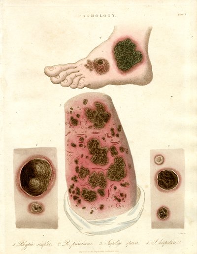 द्वारा जॉन पास