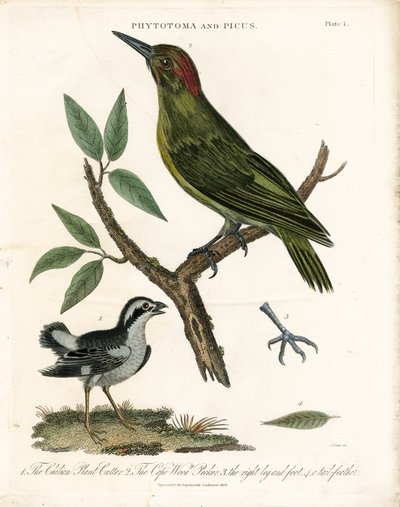  द्वारा जॉन पास