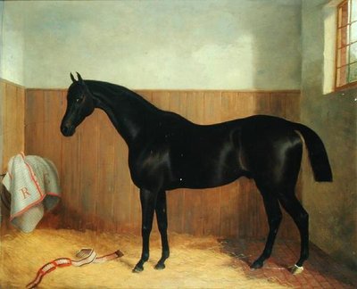 टॉमी, एक घोड़े का पोर्ट्रेट, c.1870s (कैनवास पर तेल) द्वारा जॉन पॉल