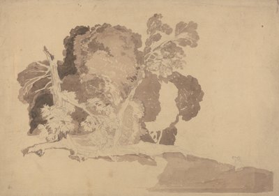  द्वारा जॉन बेच Cotman