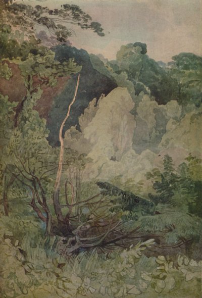 ग्रेटा नदी के पास पेड़, 1923 द्वारा जॉन बेच Cotman