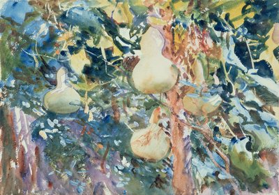 लौकी, c.1905 (wc कागज पर) द्वारा John Singer Sargent