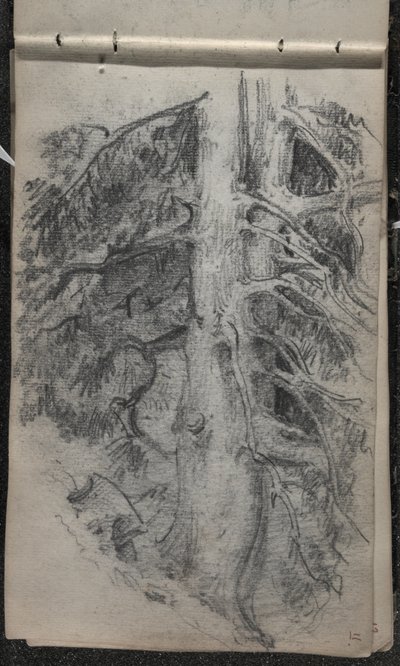 एक पेड़ का अध्ययन, 1871-72 (ग्रेफाइट पर सफेद सफेद कागज) द्वारा जॉन सिंगर सार्जेंट