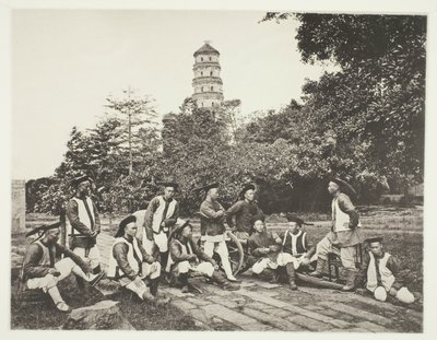  द्वारा जॉन थॉमसन