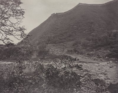  द्वारा जॉन थॉमसन
