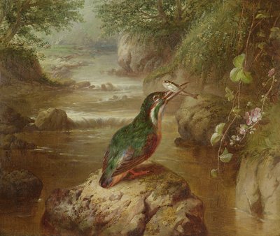 किंगफिशर का अड्डा द्वारा John Wainwright