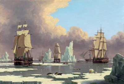 उत्तरी व्हेल मत्स्य: हंस और इसाबेला, सी। 1840 द्वारा John Ward of Hull
