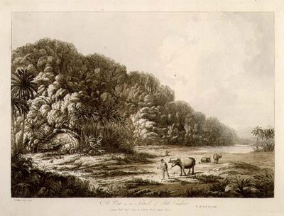 पुलो कोंडोर के द्वीप में एक दृश्य, 'दक्षिण समुद्र में दृश्य', पब से। 1792 (नक़्क़ाशी) द्वारा जॉन वेबर