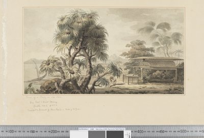 F.46 समुद्र तट पर एक मकबरे का दृश्य, c.1783-84 (जल रंग) द्वारा जॉन वेबर