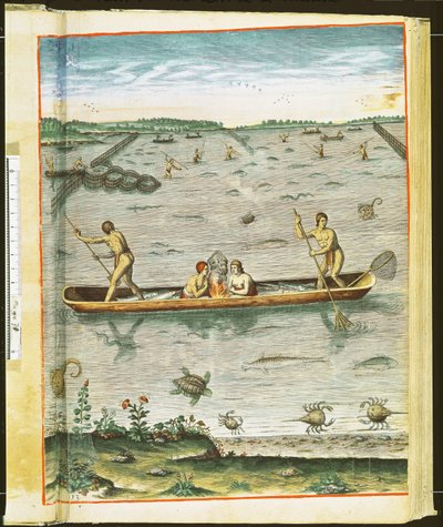 थिओडोर डी ब्राय (1528-98) 1590 द्वारा उत्कीर्ण &39;एडमिरान्डा नारियोटियो ...&39; से भारतीयों ने अपनी मछली कैसे पकड़ी (देखें 110123 und 111664) द्वारा जॉन व्हाइट