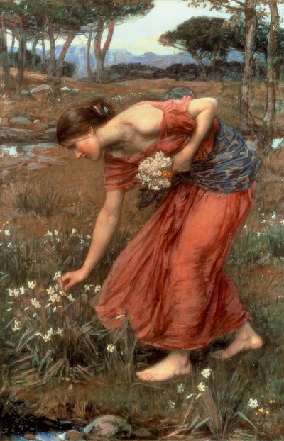 Narcissus द्वारा John William Waterhouse