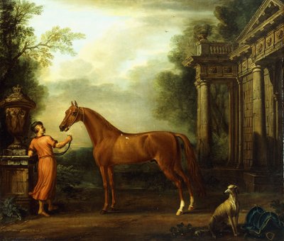 हैम्पटन कोर्ट का चेस्टनट अरेबियन, c.1726 द्वारा जॉन वॉटन