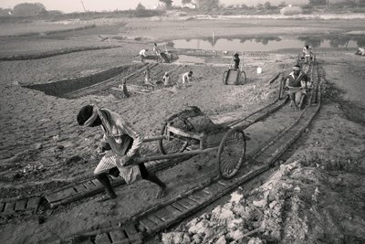  द्वारा जॉन निकोलसन