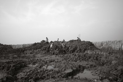  द्वारा जॉन निकोलसन