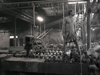 द्वारा जॉन निकोलसन