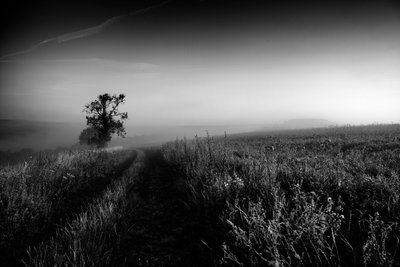  द्वारा जॉन निकोलसन