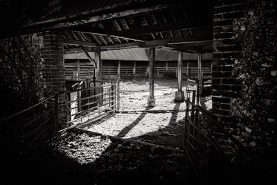  द्वारा जॉन निकोलसन