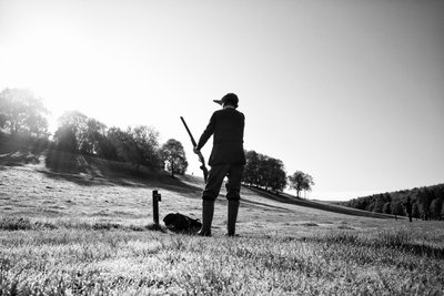  द्वारा जॉन निकोलसन