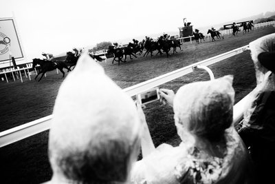  द्वारा जॉन निकोलसन