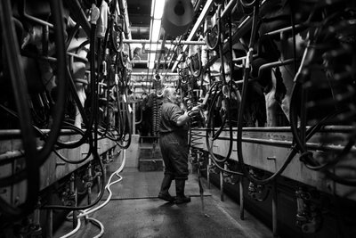  द्वारा जॉन निकोलसन