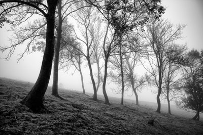  द्वारा जॉन निकोलसन