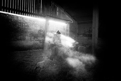  द्वारा जॉन निकोलसन