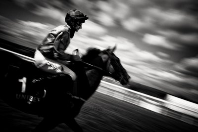  द्वारा जॉन निकोलसन