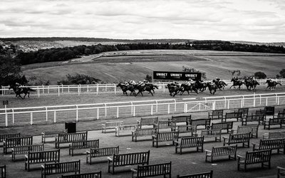  द्वारा जॉन निकोलसन