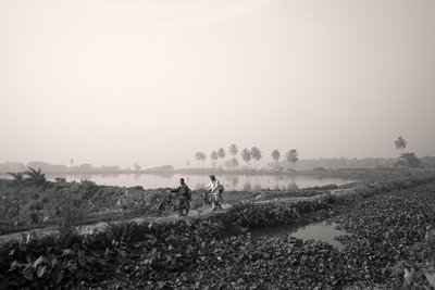  द्वारा जॉन निकोलसन