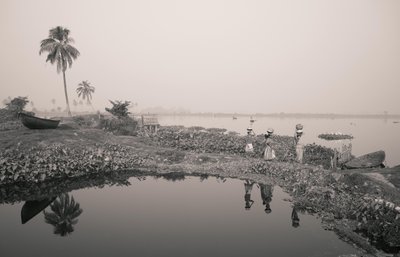  द्वारा जॉन निकोलसन
