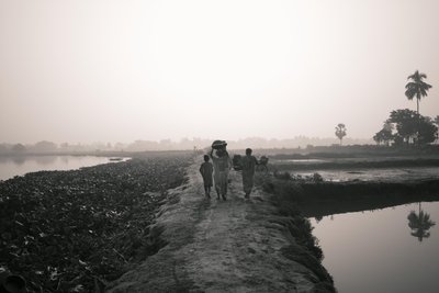 द्वारा जॉन निकोलसन