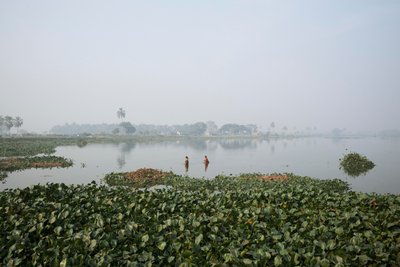  द्वारा जॉन निकोलसन