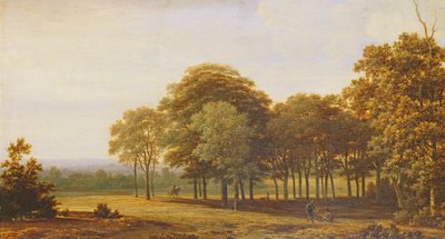 जंगल में सड़क द्वारा Joris van der Haagen or Hagen