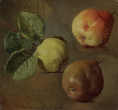 Quince - Quince - जोसेफ नवरातिल (1798-1865)। तेल के रंगों से केन्वस पर बना चित्र द्वारा जोसेफ़ मतुज नवरात्रि