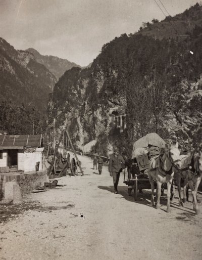 एल्बम "मेरा विश्व युद्ध - दक्षिण-पश्चिम मोर्चे की यादें (कैरिंथिया, इटली, दक्षिण टायरॉल) (मेरा विश्व युद्ध - कारिंथिया, इटली में दक्षिण-पश्चिमी मोर्चे की यादें, ट्रेंटिनो-ऑल्टो अडिगे) 31/03 / 1915-12 / 11 / 1918 - जोसेफ ज़ोहल्स वियना ": सैन्य वैग द्वारा जोसेफ़ ज़ोहल्स