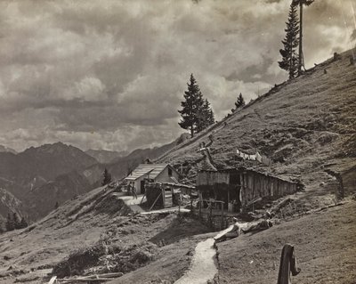 एल्बम "मेरा विश्व युद्ध - दक्षिण-पश्चिम मोर्चे की यादें (कैरिंथिया, इटली, दक्षिण टायरॉल) (मेरा विश्व युद्ध - कारिंथिया, इटली में दक्षिण-पश्चिमी मोर्चे की यादें, ट्रेंटिनो-ऑल्टो अडिगे) 31/03 / 1915-12 / 11 / 1918 - जोसेफ ज़ोहल्स वियना ": अली में स द्वारा जोसेफ़ ज़ोहल्स