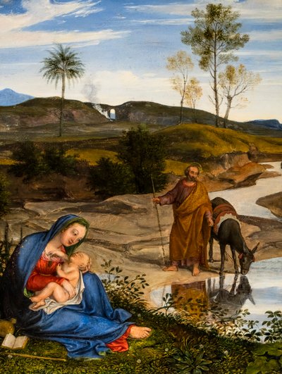  द्वारा जोसेफ एंटोन कोच