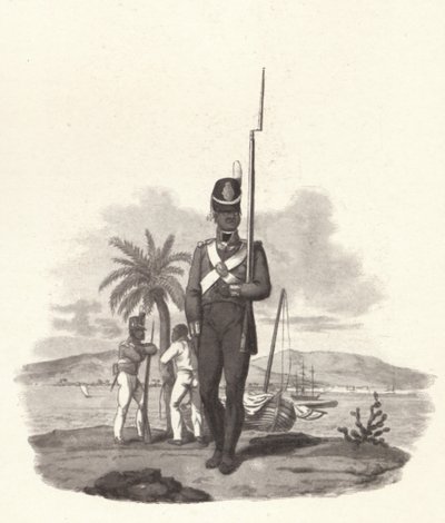 5 वीं पश्चिम भारत रेजिमेंट का एक निजी, c1812 1909 द्वारा जोसेफ कॉन्स्टेंटाइन स्टैडलर