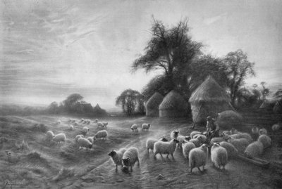 भेड़ भक्षण, c1890, 1911 द्वारा जोसेफ फार्खरसन